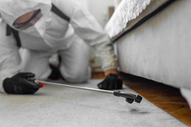 Professional Cockroach Control technician working in Ashland, IL