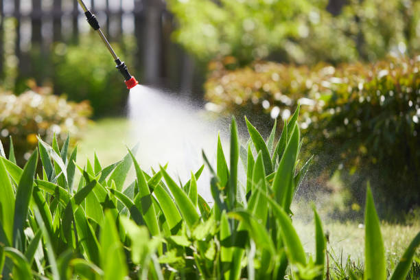 24/7 Emergency Cockroach Control experts in Ashland, IL