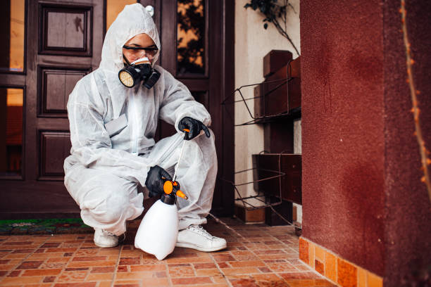 Reliable Cockroach Control contractor in Ashland, IL by Nex Pest Control